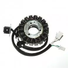 Статор генератора ELECTROSPORT ESG842