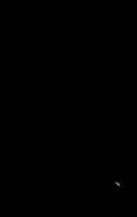 Seal, movable driven (21247-38F00-000)
