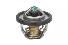 Термостат TOURMAX TMT-304