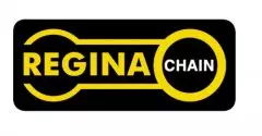 Ланцюг приводний Regina 530ZRT-110 Z-Ring