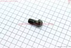 Болт гальмівного шлангу M10 (Китай)