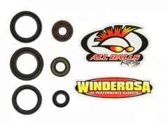 Набір сальників двигуна WINDEROSA W822320