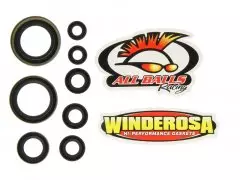 Набір сальників двигуна WINDEROSA W822274
