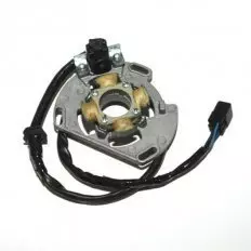 Статор генератора ELECTROSPORT ESC221