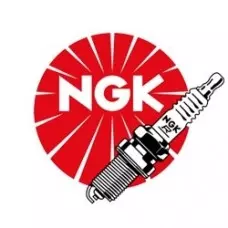 Свічка запалювання NGK 6968 FR8BI11