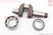 Колінвал R195NM (Dболта-М14x1.5, Dшейки-52mm, H-112mm) + підшипники+шестерня (Viper) - Фото 2