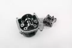 Головка циліндра 4T GY6 50 гола з клапанами, постель (TA)