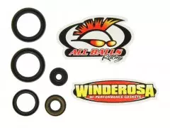 Набір сальників двигуна WINDEROSA W822187