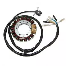 Статор генератора ELECTROSPORT ESG443