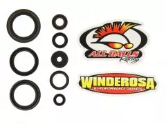 Набір сальників двигуна WINDEROSA W822346